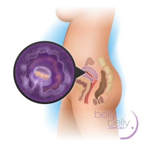 First missed menstrual period