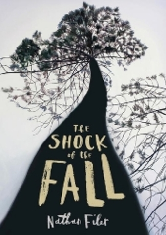 The Shock Of The Fall - by Nathan Filer (publish date & setting)