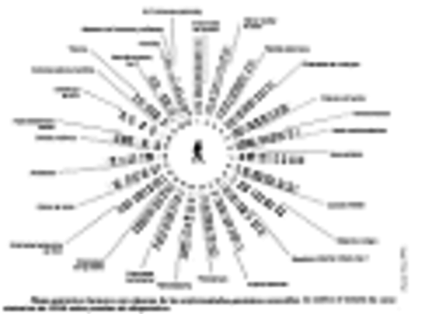 MAPA PROVISIONAL DE GENOMA HUMANO