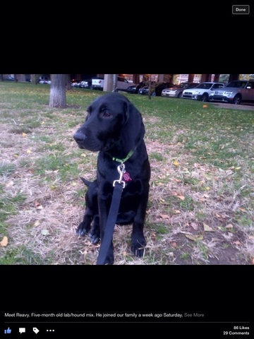 Primero novermbre de 2012