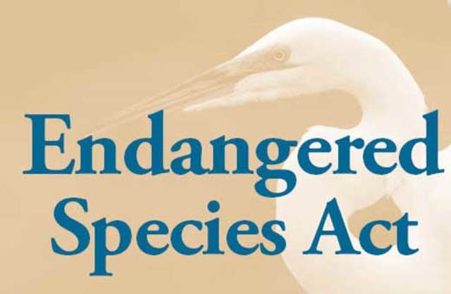 Endangered species act