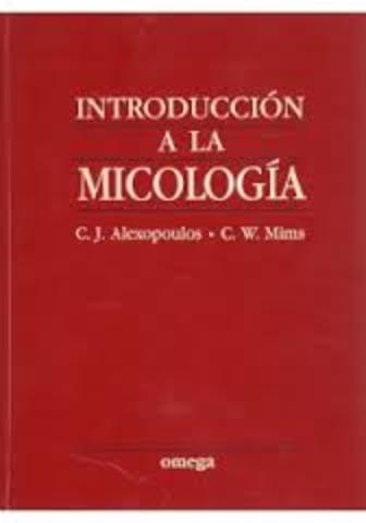 recopilacion de estudios anteriores