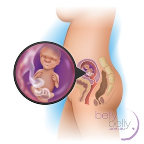 Begin listening to his heartbeat at every appointment now, too. You’ll gain great comfort from hearing that little heart beating when you visit