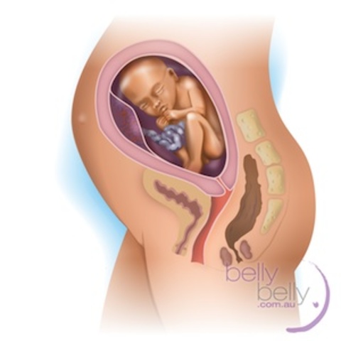 Your baby’s weight is about 1.2 kg and she is about 36-40 cm long.