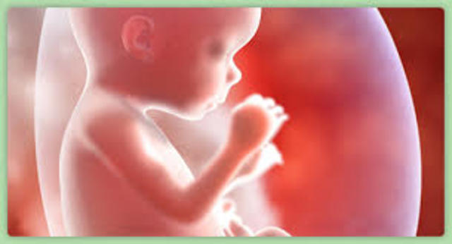 Week 18 of Pregnancy