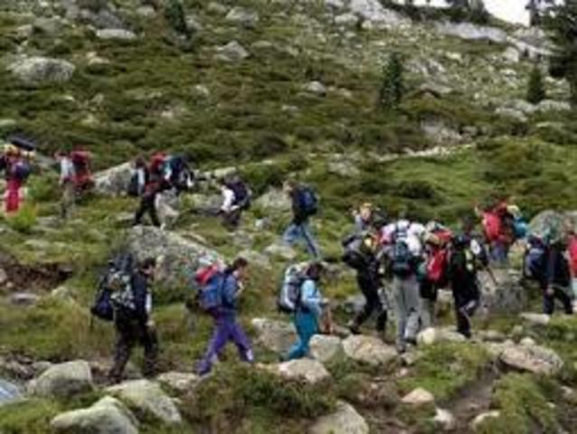 vinculacion a la expedicion botanica