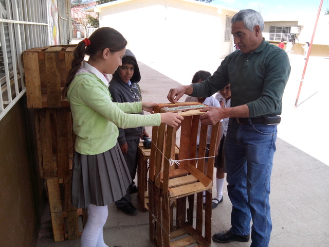 continuacion de la estructura del vivero escolar