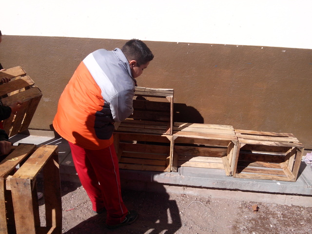 evidencias de avance de la estructura