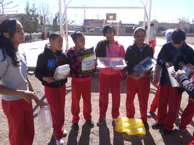 preparacion de contenedores para colocacion de tierra