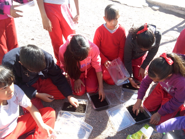 colocacion de tierra preparada