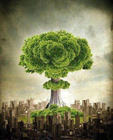 IB Climate Change Protocol