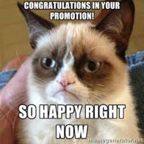 Promoted to District Manager