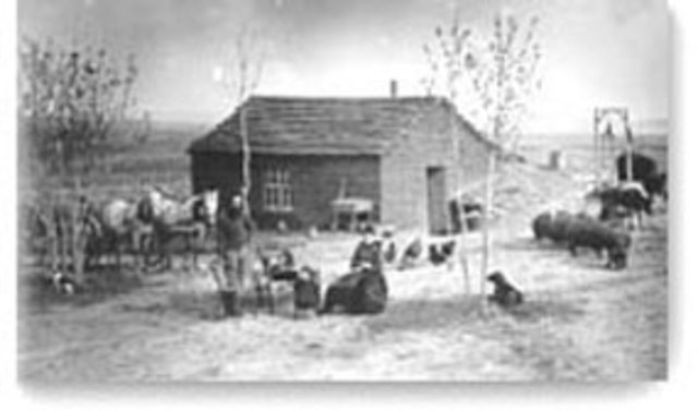 The first settler uses the Homestead Act