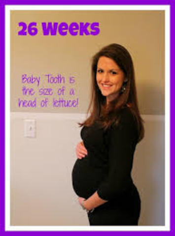 Week 26 of Pregnancy