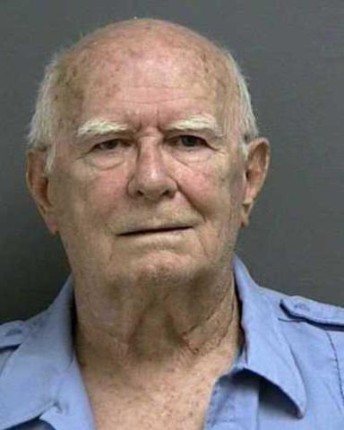 The Elderly (Biological Development)