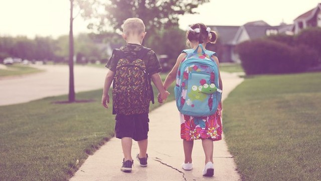 Concrete Operational Stage (Cognitive Development)