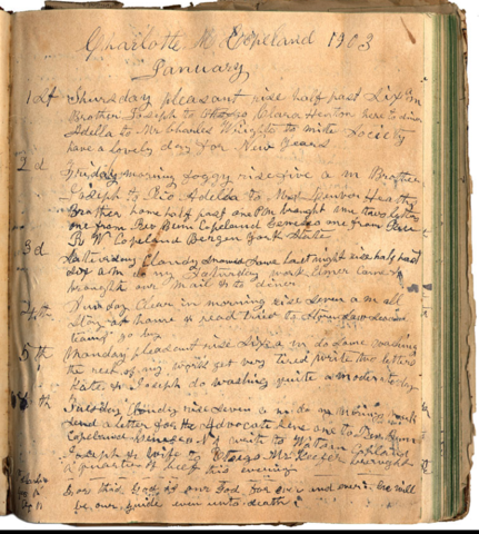 Nore finds a journal.