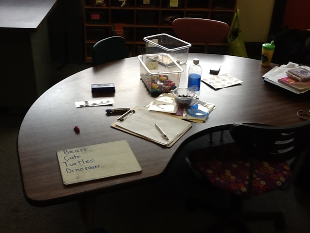 Began Student Teaching