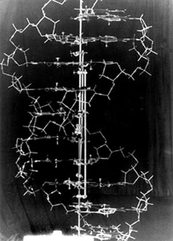 James Watson and Francis Crick proposed the double helix structure of DNA