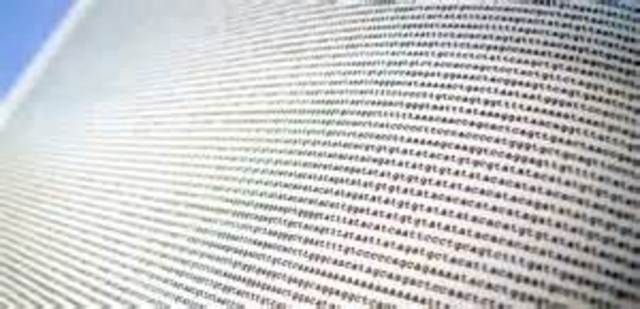 Human genome sequenced