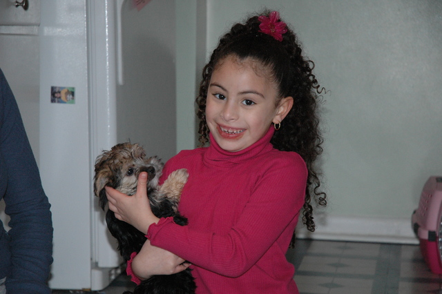 Dónde mi familia compramos una perra