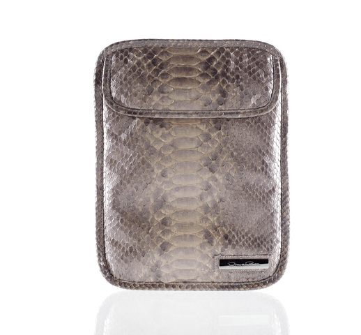 iPad hits the runway