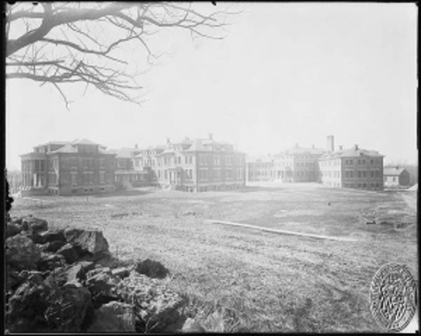 Elsie dies at age 15 in 1955