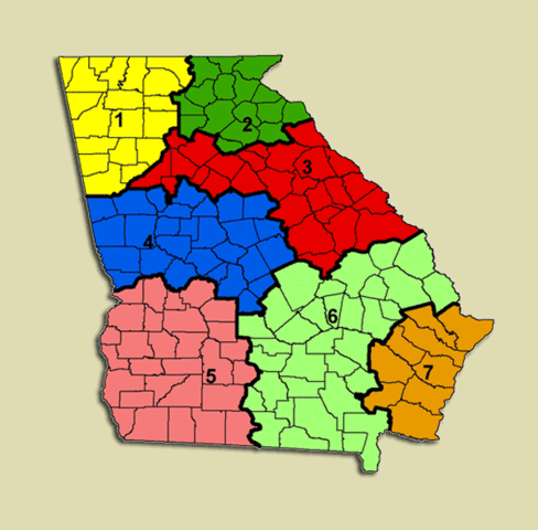 County Unit System