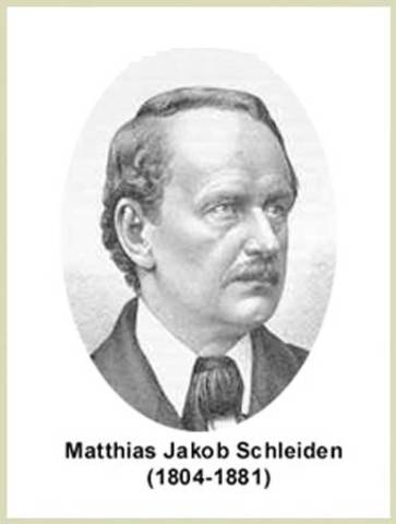 Mattias Shleiden
