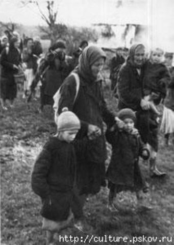 Создание специального Совета по эвакуации.