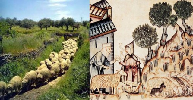 EL APOYO DE LOS REYES A LAS MESTAS