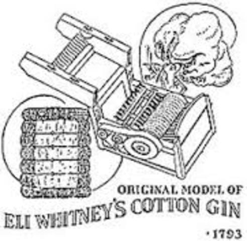 The Invention of the Cotton Gin
