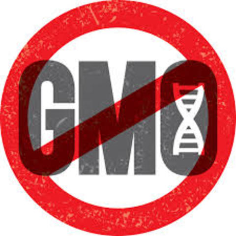 UK GMO Ban
