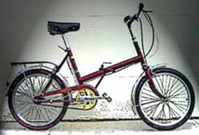 Raleigh Folding Bike