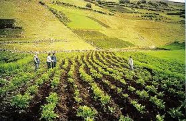 1er Punto. “Desarrollo agrario integral”