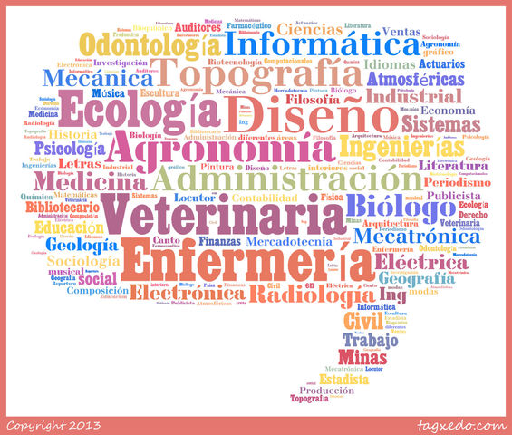 La orientración vocacional y profesional