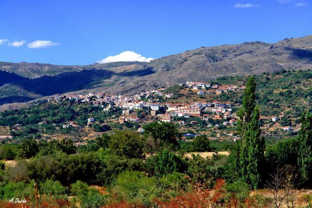 my grandparent's house