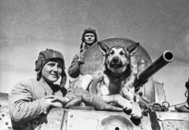 Смоленское сражение