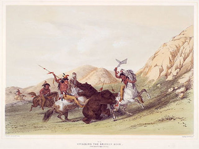 Attacking the Grizzly Bear