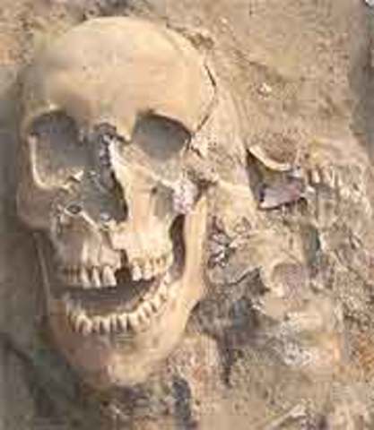 Typhus defeats Napoleon's Grand Army