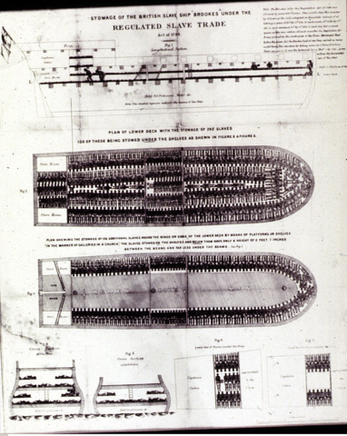 Unveiling Brookes Slave Ship Plans