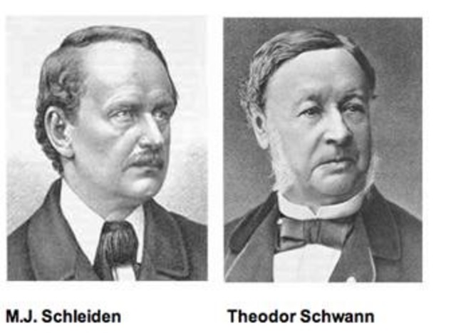 Schleiden y Shwann