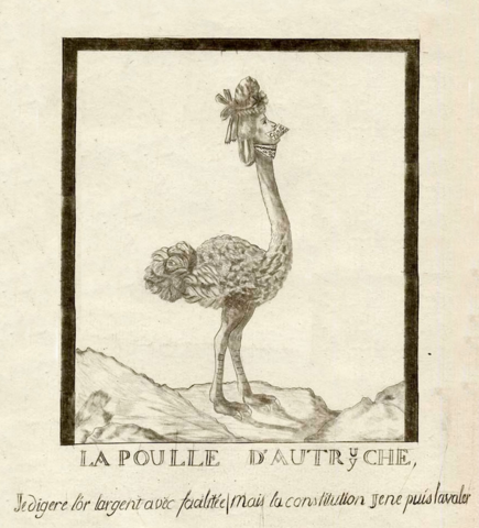"La Poulle d'Autriche."