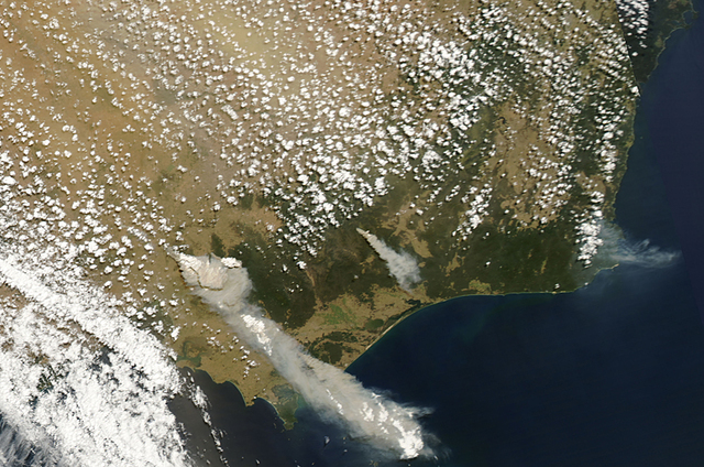 Black Saturday Bushfires