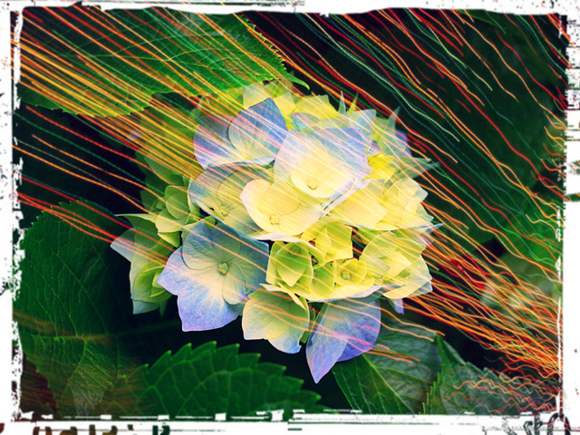 женский день