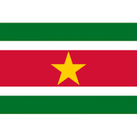 Misión Especial en Suriname 1992-2000