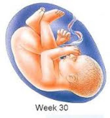 week 30