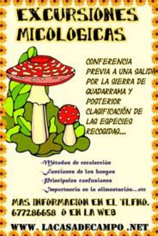 Jornadas Hispano-Italianas de Micología Medica.