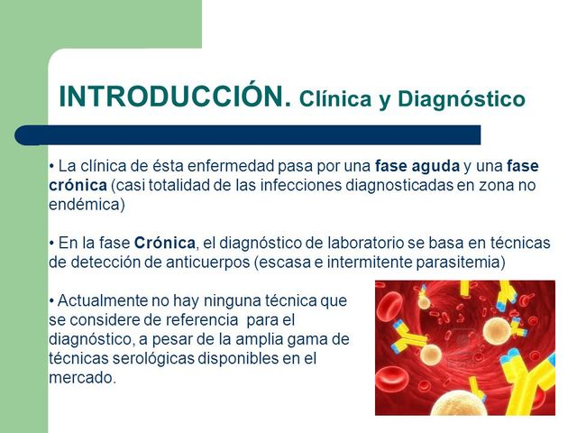 Estandarizacióndel Diagnóstico en Micología Clínica