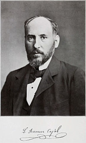 Santiago Ramón y Cajal